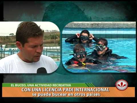 BUCEO - YouTube