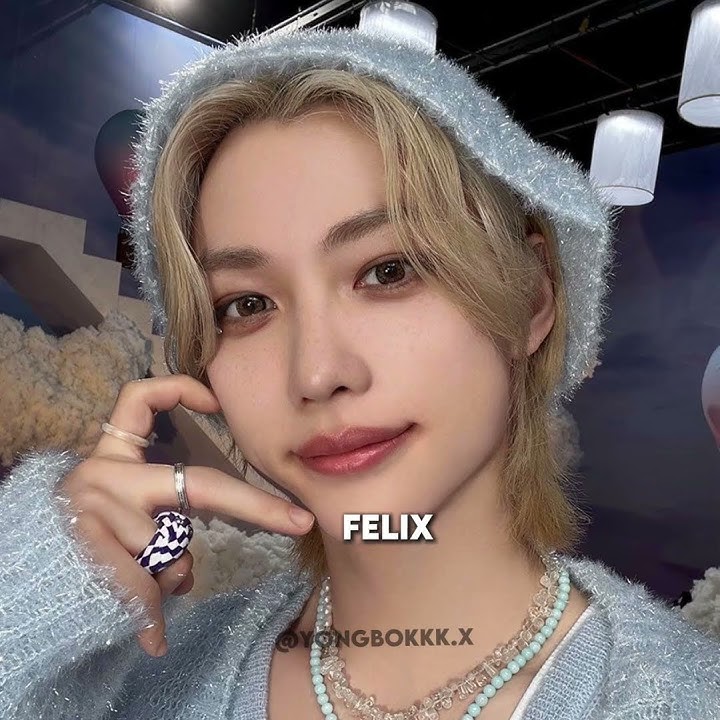 ╰ 🎀☁️ meet ✨stray kids✨ #fy #fyp #viral #fypシ゚viral #straykids #skz #jeongin #felix #hyunjin
