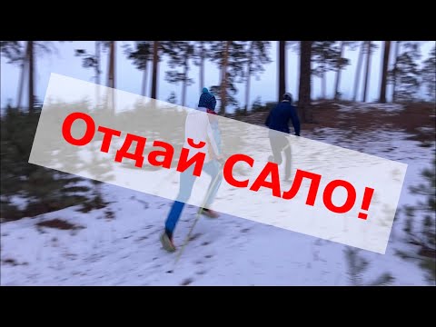 Отдай сало! Сало отдай! Лыжная версия!