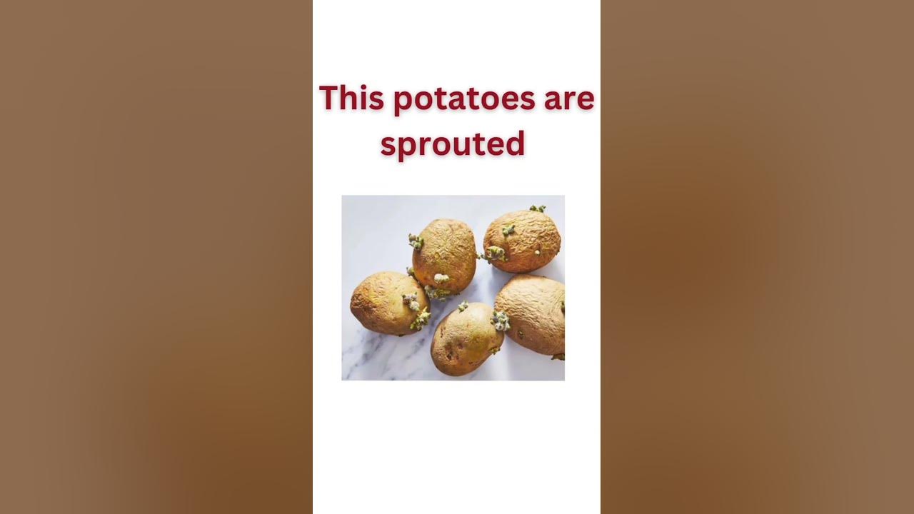 how-to-say-spoiled-foods-in-english-english-vocabulary-learning