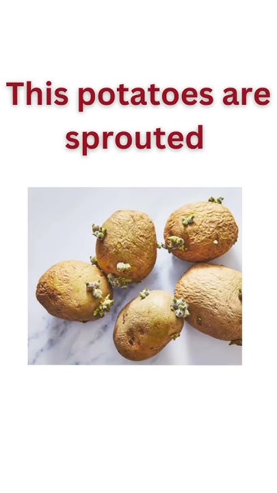 how-to-say-spoiled-foods-in-english-english-vocabulary-learning