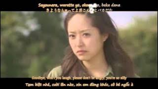 [Vietsub, Kara] Boku Wa Kimi Ni Koi Wo Suru (僕は君に恋をする) - Ken Hirai