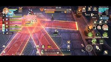 Tree of Savior: Neverland Full Support build