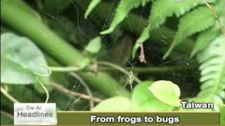 DaAiTV_DaAi Headlines_20100520_Spider man Prof. Chen Shihuang .wmv