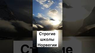 Строгие школы Норвегии #норвегия #жизньвнорвегии #норвежцы #образование