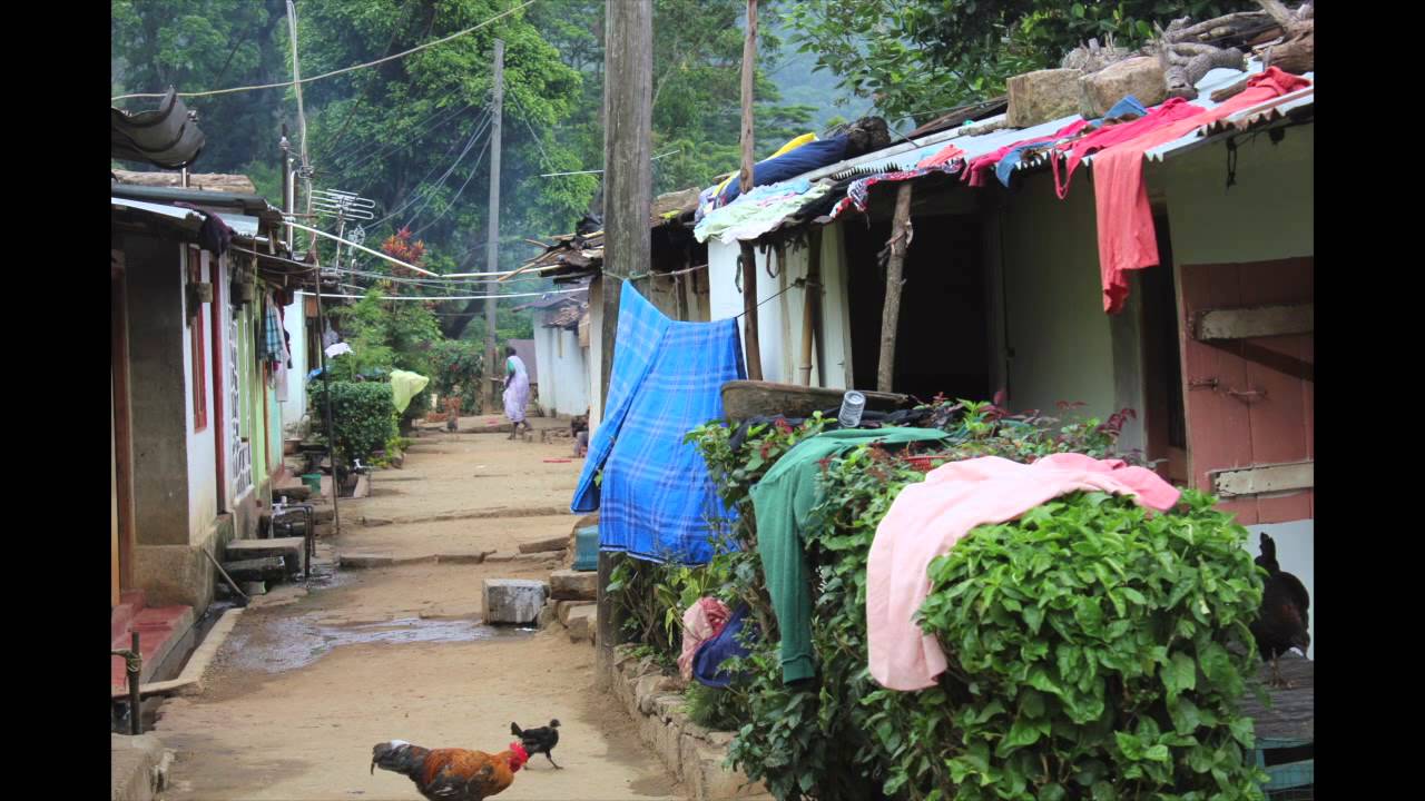 The Price of Tea - a campaign for the rights of Sri Lankan tea pickers