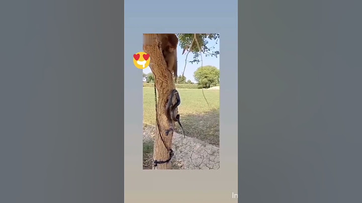 சித்தப்பு நீங்க எப்ப வந்திங்க 😂😂 #trending #funny #comedy #love