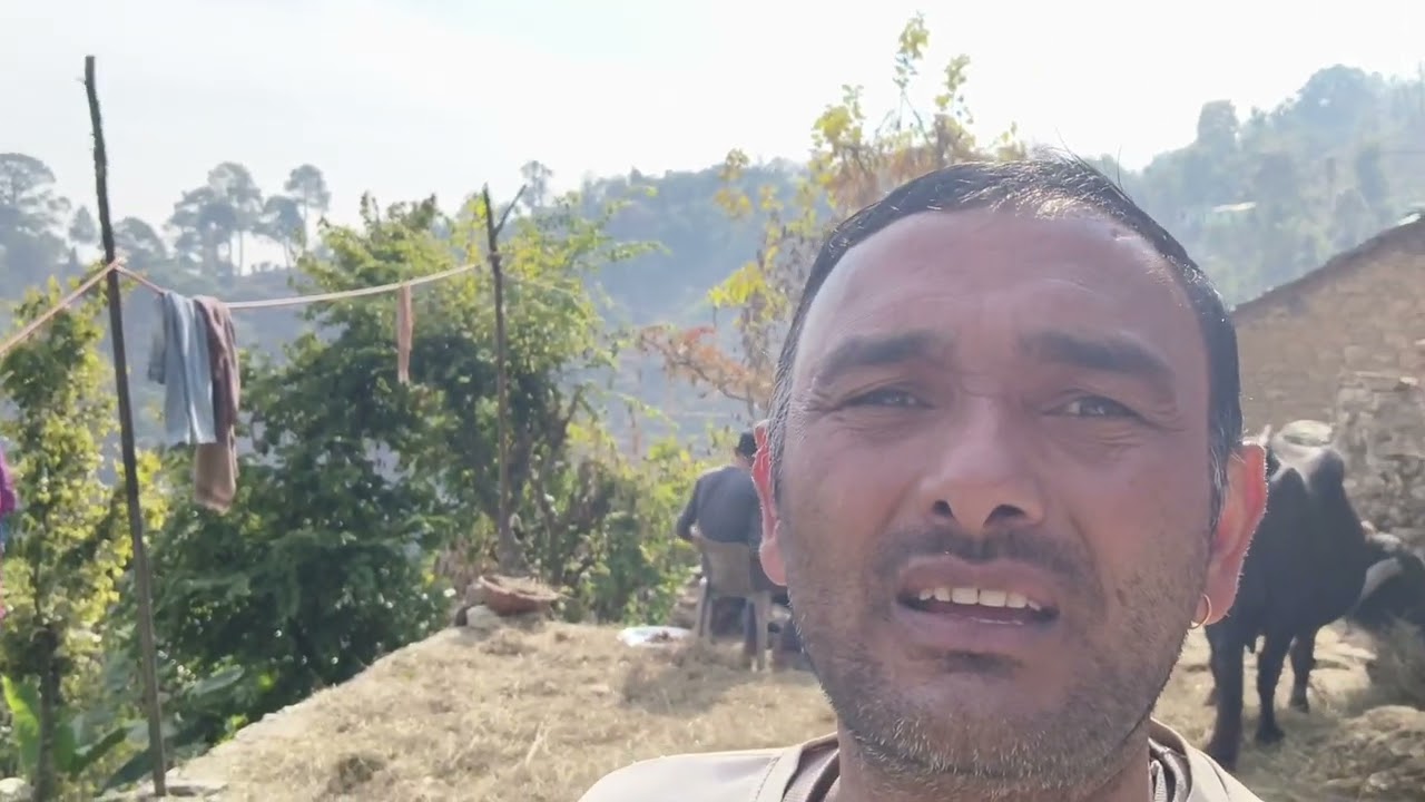 नया पहाड़ी गीत 🍎🥭🥥🎧 पहाड़की संस्कृति 🙏😍