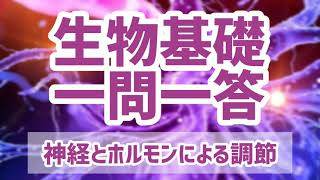 生物基礎一問一答【神経とホルモンによる調節①】