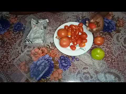 #சிறு தக்காளி #தக்காளியை எவ்வாறு பாதுகாப்பது|How to preserve tomato