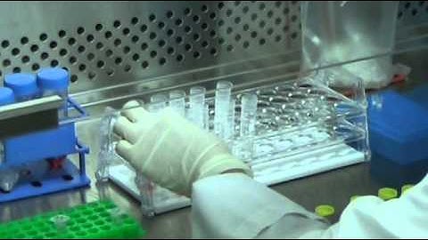 TR10: Synthetic Cells