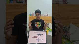 Streamlined shape of marine animals