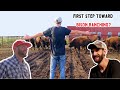 The TRUTH about Bison - Up Close and Personal with Cross Timbers Bison