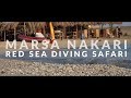 Egypt  marsa nakari  red sea diving safari  4k