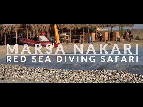 Egypt - Marsa Nakari - Red Sea Diving Safari - 4K Video