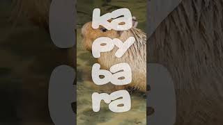 Remixing The Capybara Song 🤗  #remix #capybara