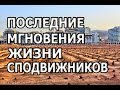 Последние мгновения жизни сподвижников!