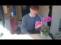 How do i look after an orchid and keep my girlfriend interested orchid maintenance tutorial