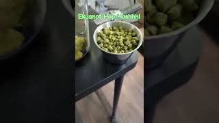 Ekuanot Hop Hash And Azacca In The Whirlpool For A New Iteration Of Donovan.