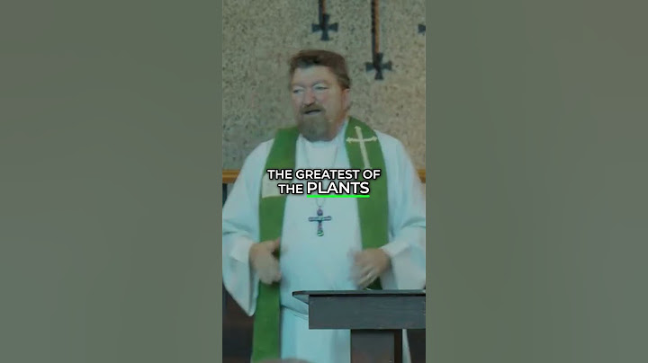 Jesus' Kingdom: Humble Beginnings, Great Growth!