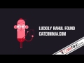 CaterNinja Corporate Catering