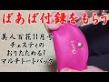 【雑誌付録】美人百花１１月号付録紹介