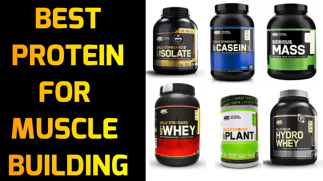 best protein powder brands for muscle gain