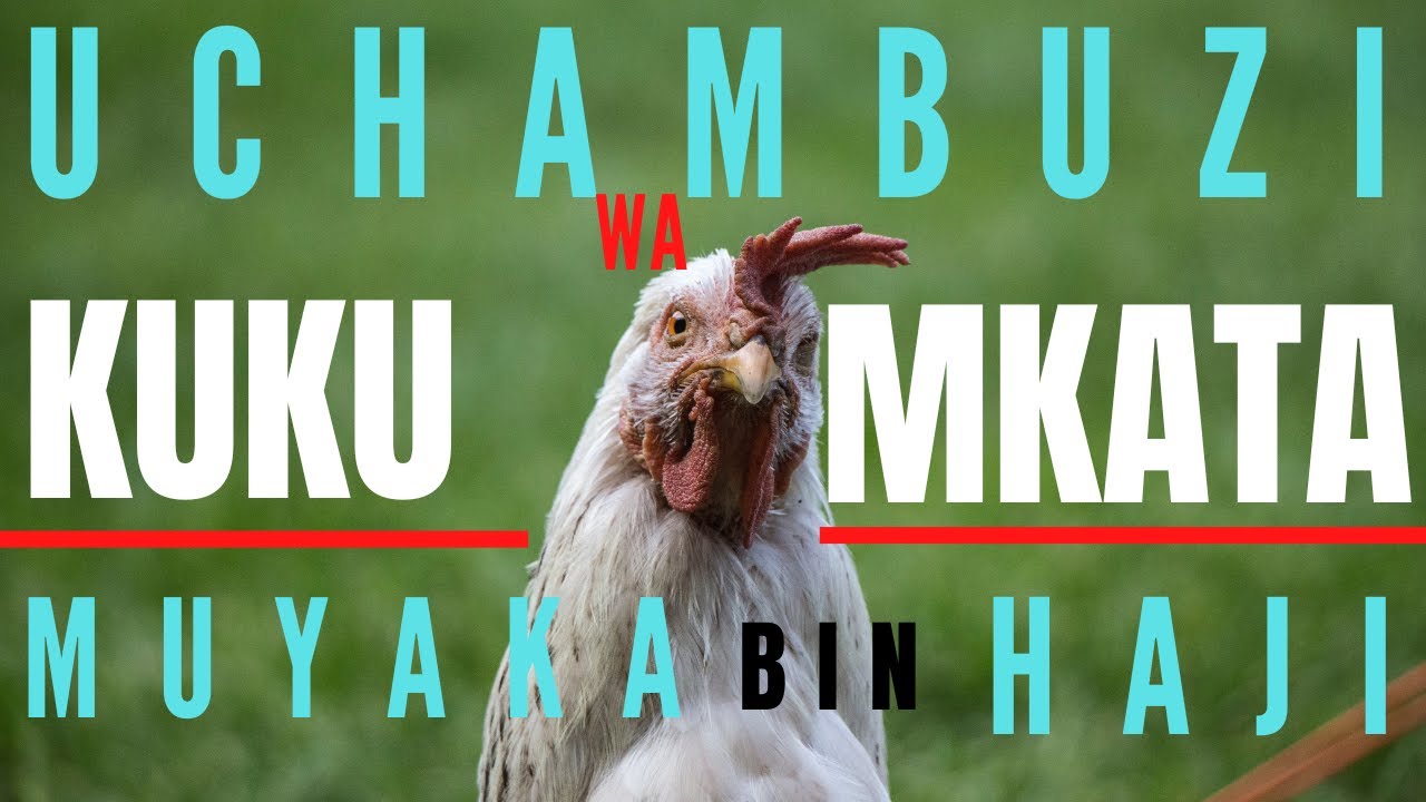 UCHAMBUZI wa Shairi la Muyaka KUKU WA MKATA-Hassan Morowa