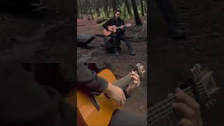 Tender - Taylor Armstrong #guitar #acousticguitar #music #chillmusic #chillvibes #relaxingvideos