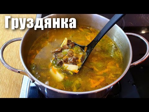 Груздянка - грибной суп из свежих груздей