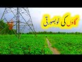 Gaon ki khobsorti | Village beautiful scenes | Village tv.