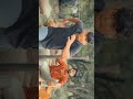 wt for end Bollywood actionvideo