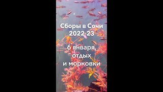 6 января, отдых, морковки и всякое - Сборы в Сочи 2022-23| Школа роликов RollerLine