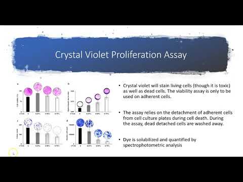 Cell Viability