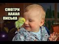 Скажи птичка