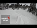 &quot;No, no!&quot; Avalanche buries snowmobiler in dramatic moment caught on camera