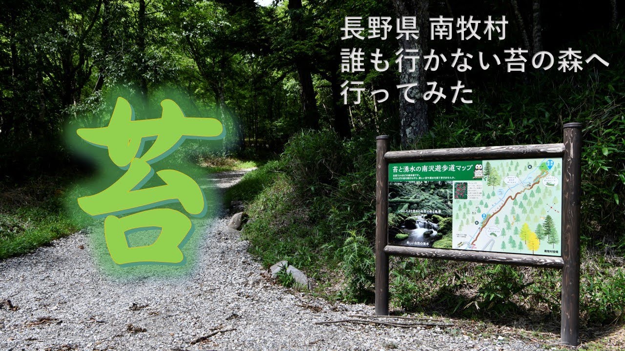 道南の自然を歩く 長野県 南牧村 杣添川 苔と湧水の南沢遊歩道 誰も行かない苔の森に行っ