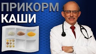 Первый прикорм ребенка каши. С какой каши начинать прикорм?