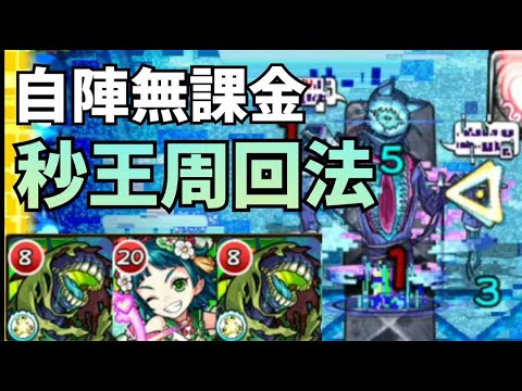 道特無課金攻略 木轟最強 3運快速周回解說 怪物彈珠 Youtube