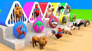 Cow Lion Chicken Elephant escape from the cage choose the correct Superhero, Spider, Iroman, Hulk by Hero Cars 14,234 views 4 weeks ago 2 hours, 11 minutes