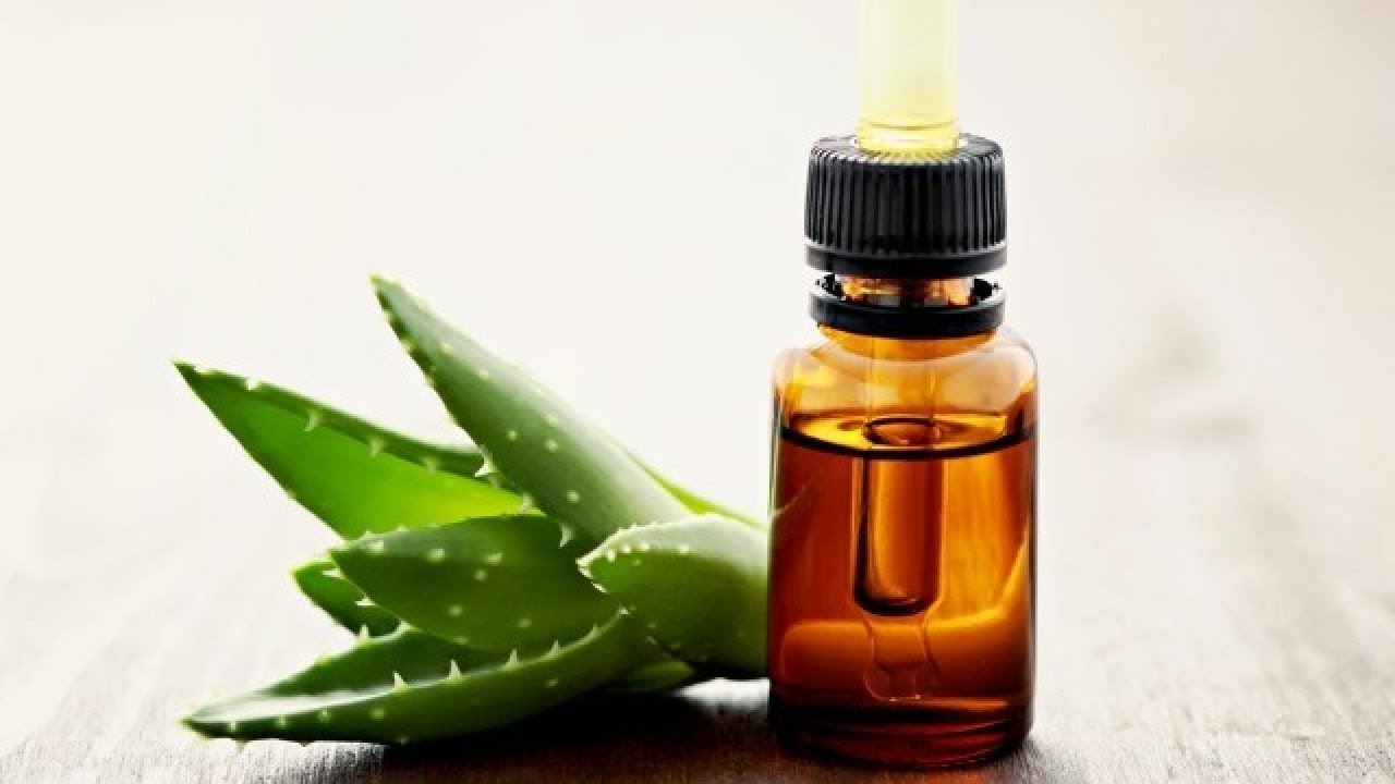 Aloe vera Onion Hair Oil How To Make Aloe Vera Onion Oil at Home