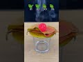 Hot Ball vs Green Leaves 🌿🔥 | Extreme Heat Test 😲....#fun #experiment #science