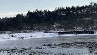 IMG 4862