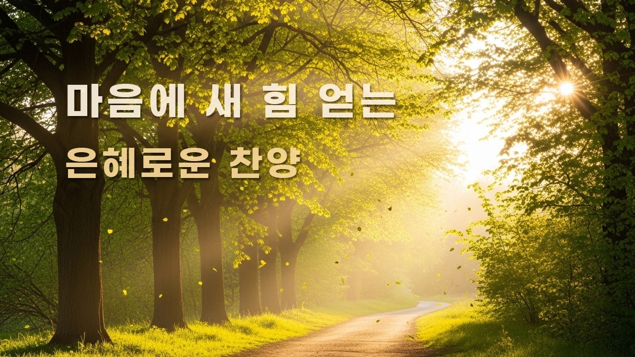 CCM Playlist 🎶 주 안에서 새 힘 얻는 🌿 은혜로운 찬양 (#48) | 기도 · 묵상 · 예배