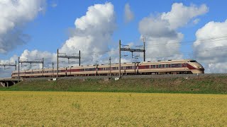 初秋の東武日光線を疾走する特急列車　#N100系  #100系  #500系  #253系