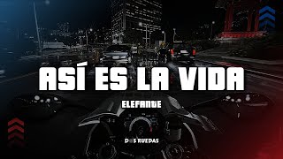 Elefante - Asi Es La Vida (Letra)