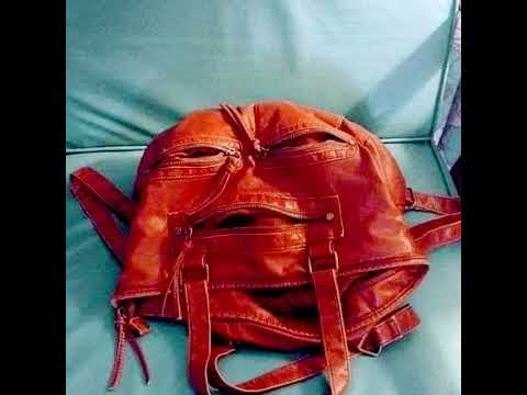 الباريدوليا  هي ظاهرة نفسية يستجيب فيها العقل لمحفز عشوائي عادة ما يكون صورة أو صوتا