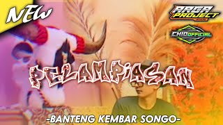 DJ BANTENGAN PELAMPIASAN X MBEROT SENAM MIDDLE FT @argaprojectofficial
