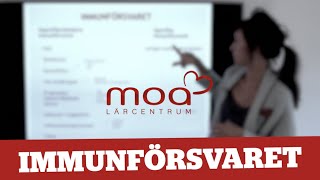 Hur funkar immunförsvaret?