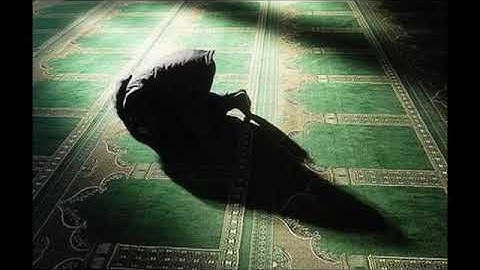 ويوم يعض الظالم علي يديه للقارئ محمد اللحيدان